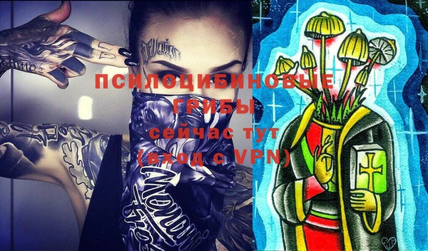 ПСИЛОЦИБИНОВЫЕ ГРИБЫ Балахна
