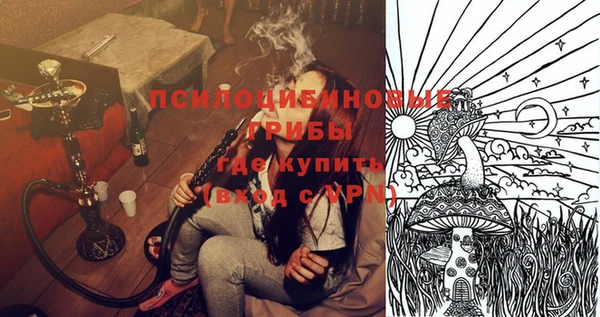 ПСИЛОЦИБИНОВЫЕ ГРИБЫ Балахна