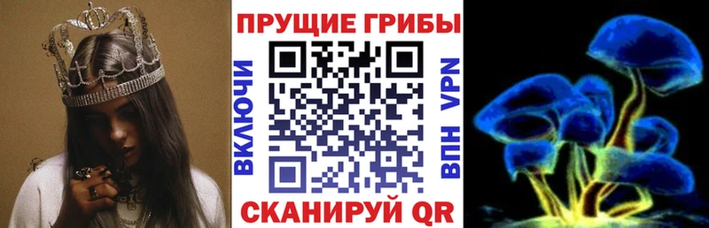 мега ТОР  Нефтеюганск  Псилоцибиновые грибы Psilocybe  купить закладку 